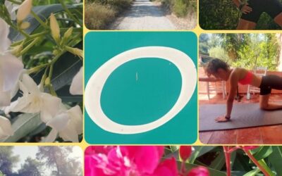 Kaže nauka da redovna, umerena fizička aktivnost smanjuje rizik od nastanka srčanih bolesti, moždanog udara, osteoporoze, dijabetesa, depresije, gojaznosti…